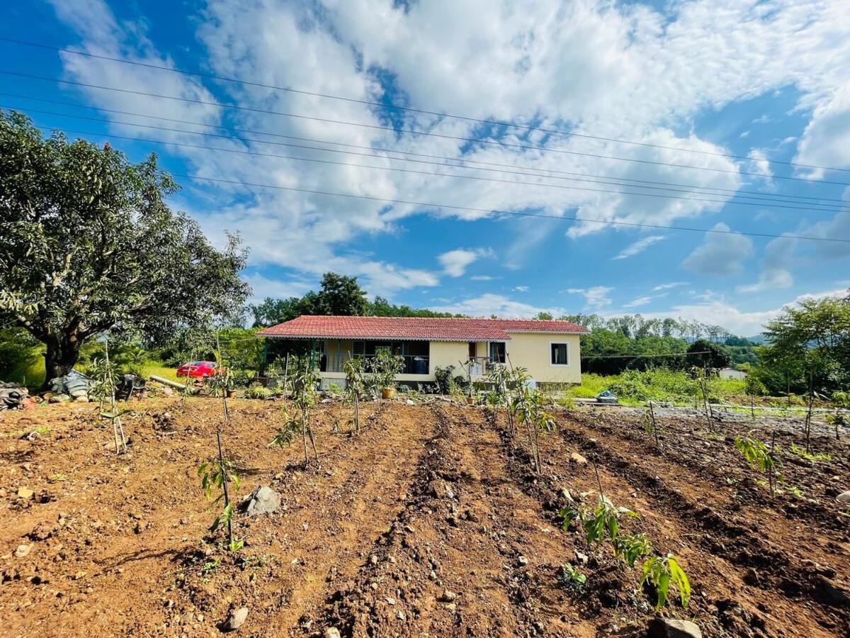הוילה Welhe Aj Farms מראה חיצוני תמונה