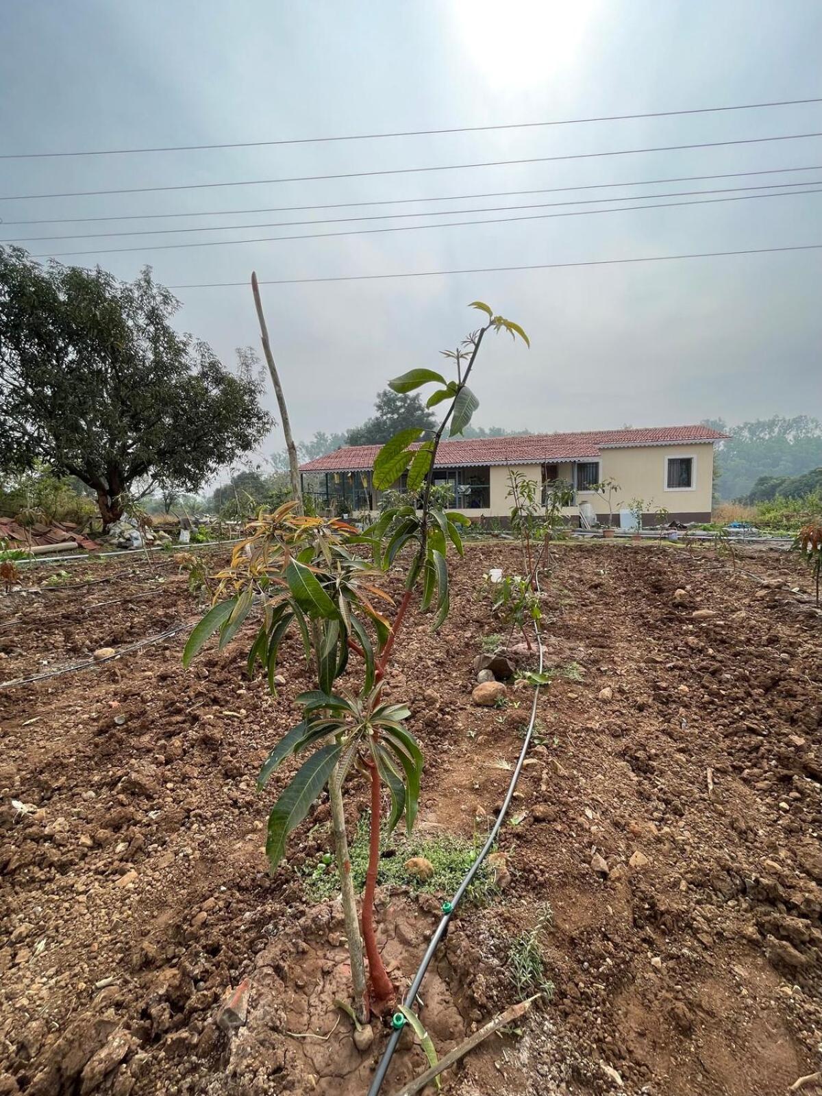 הוילה Welhe Aj Farms מראה חיצוני תמונה